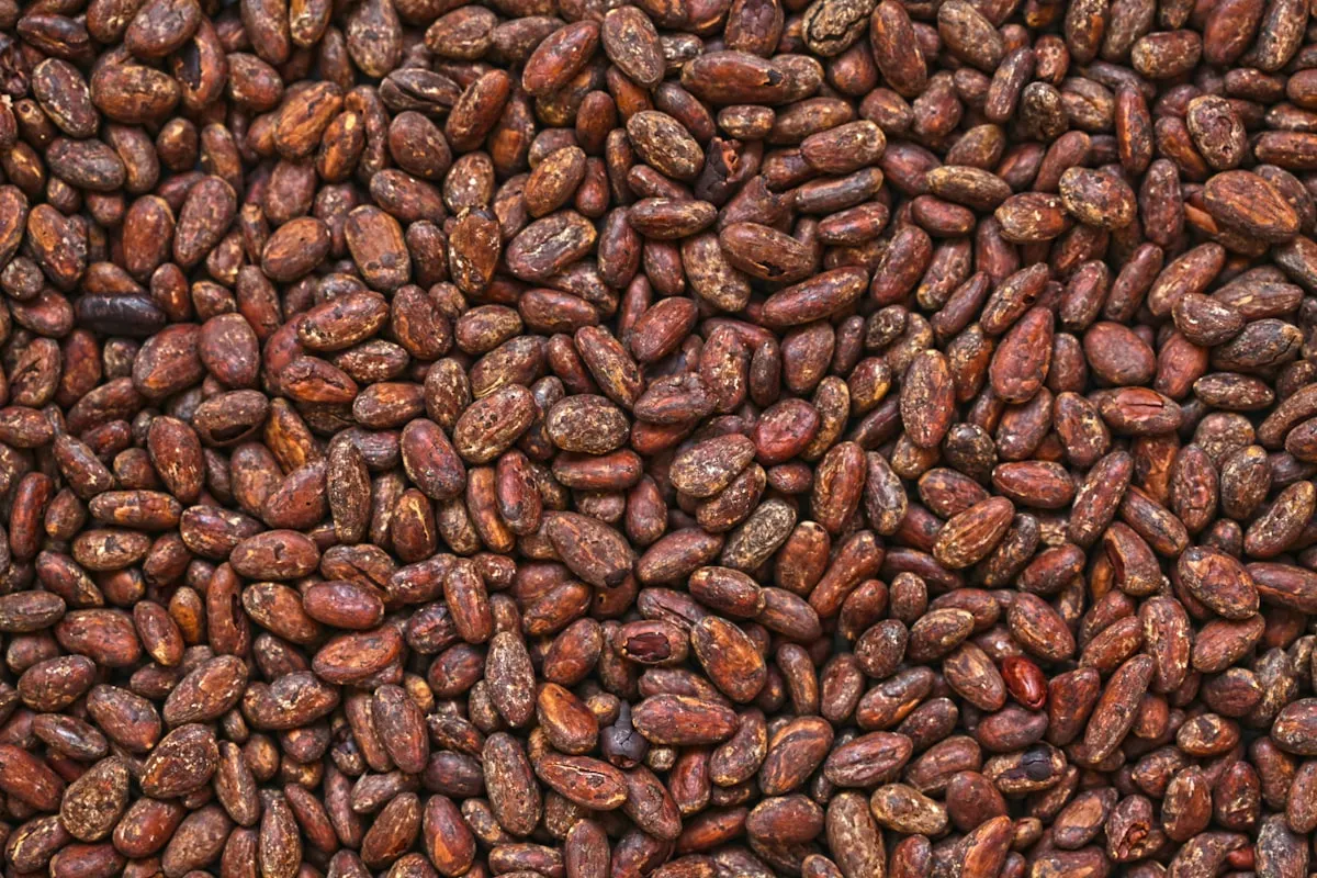 Overhead close-up of fermented and dried cocoa beans in their natural reddish-brown color, filling the frame as a dense, textural pattern — the raw material at the start of every bean-to-bar chocolate batch
