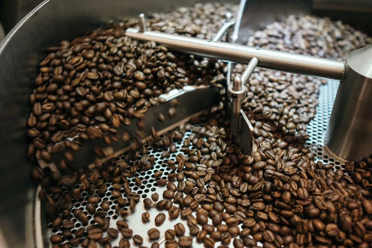 Freshly roasted coffee beans cooling in a drum roaster's metal cooling tray with stirring arms