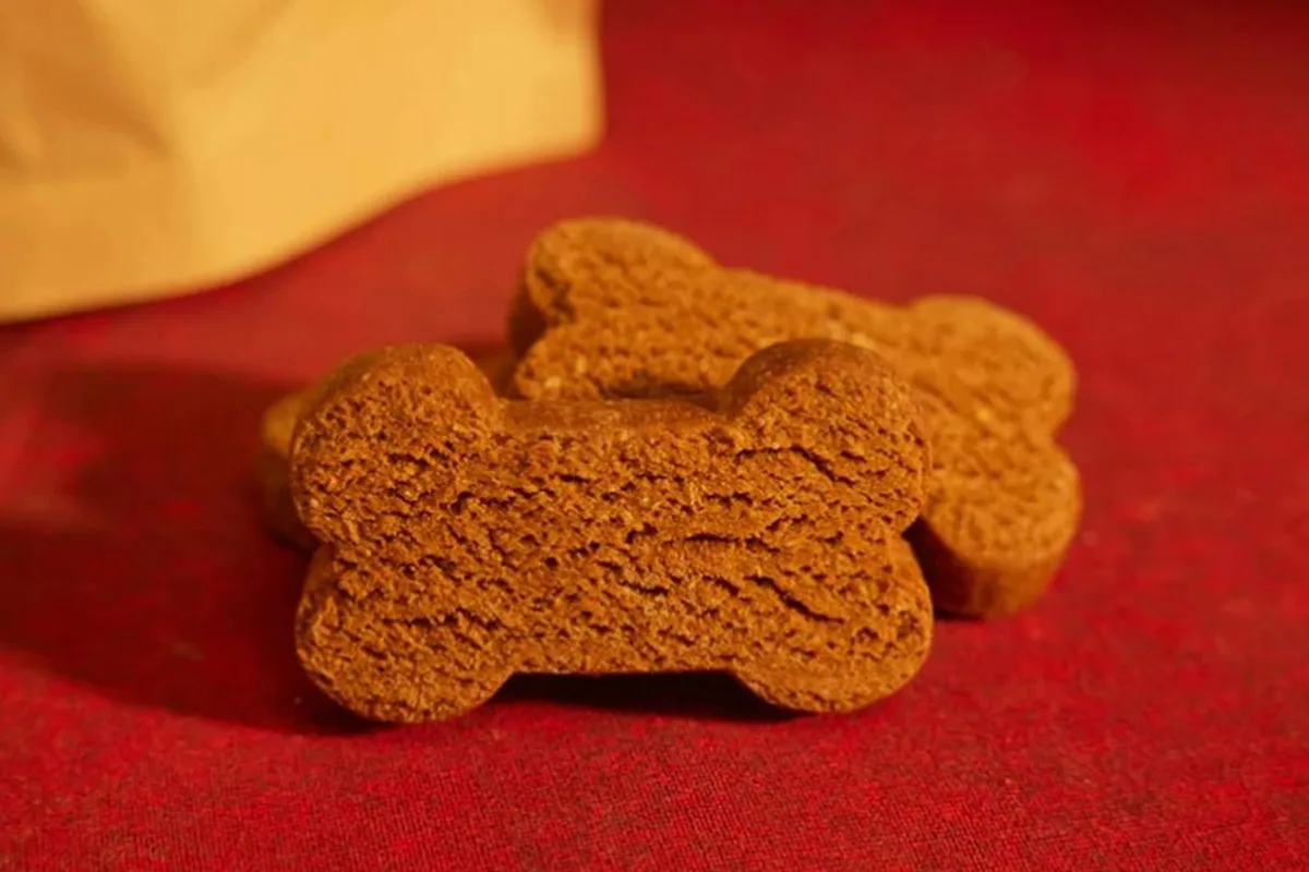 Three bone-shaped brown dog biscuits resting on a deep red cloth in front of an open kraft paper bag