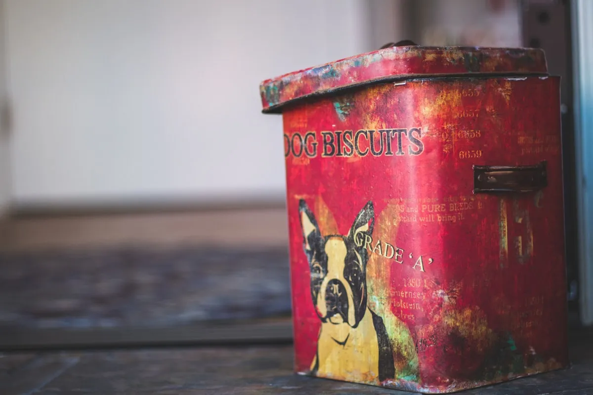 Vintage red tin labeled Dog Biscuits Grade A with a Boston Terrier illustration, sitting on a wooden surface